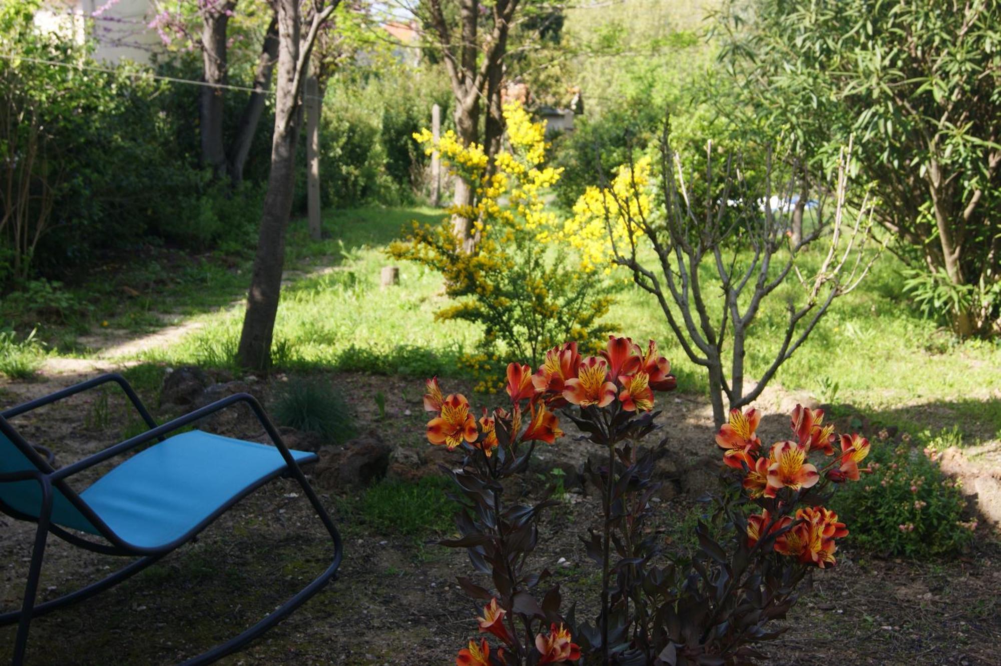 Bed and Breakfast Le Petit Moliere Servian Exterior foto